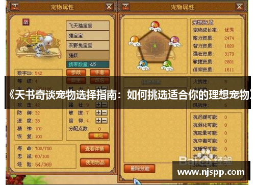 《天书奇谈宠物选择指南：如何挑选适合你的理想宠物》