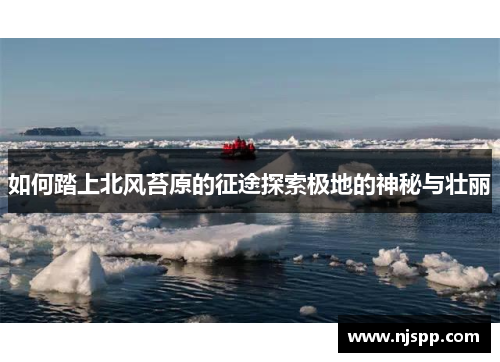 如何踏上北风苔原的征途探索极地的神秘与壮丽
