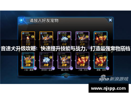 音速犬升级攻略：快速提升技能与战力，打造最强宠物搭档